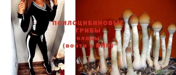 прущие крисы Абдулино